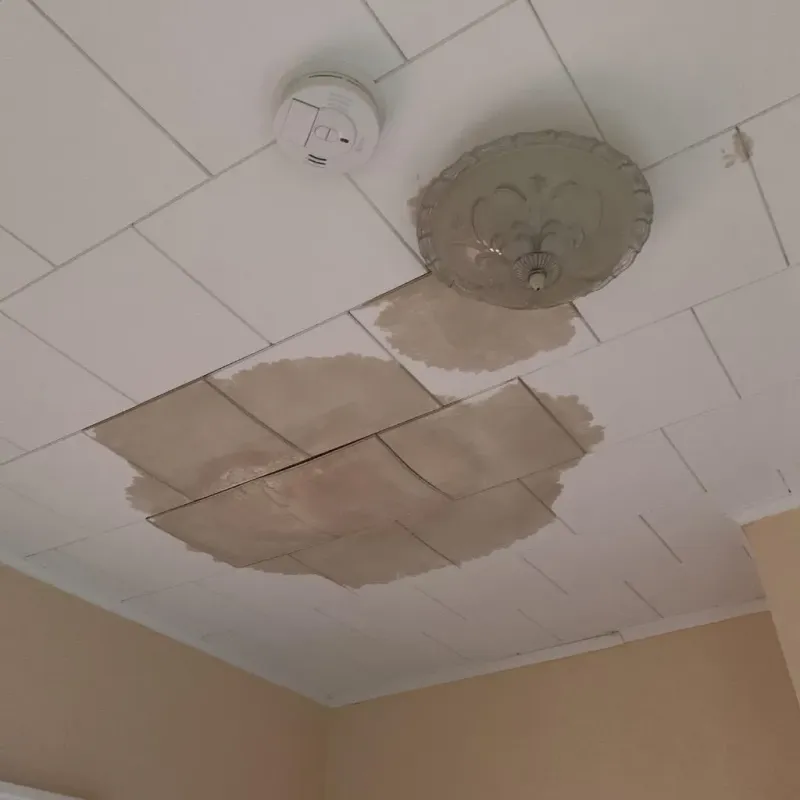 Ceiling Water Damage Repair in Holden, MA