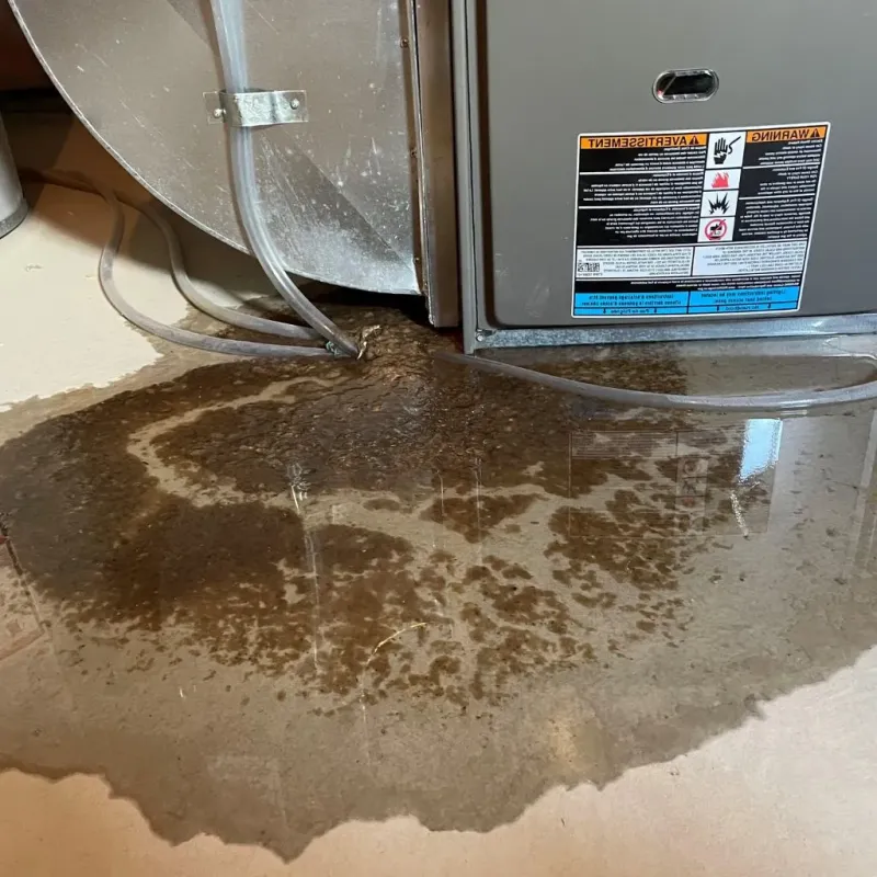 Pipe Burst and Leak Restoration in Holden, MA